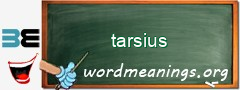 WordMeaning blackboard for tarsius